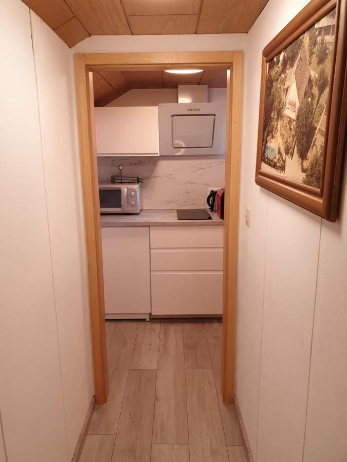 Sonnige Ruhige Dachzimmer Inkl Wifi Plus Kaffee Mit Wg Dusche Und Neuer Kueche Lorrach Exterior photo